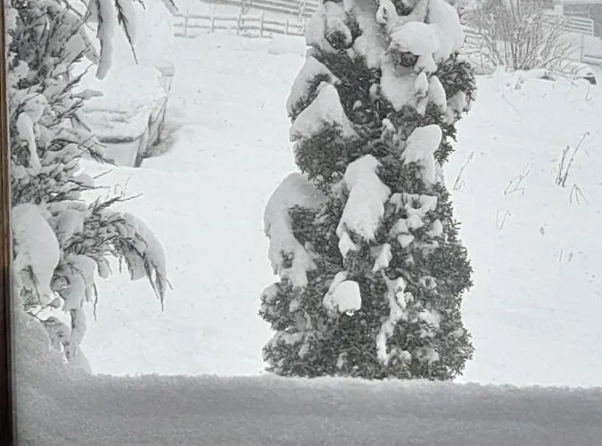 Sara بيت للعطل