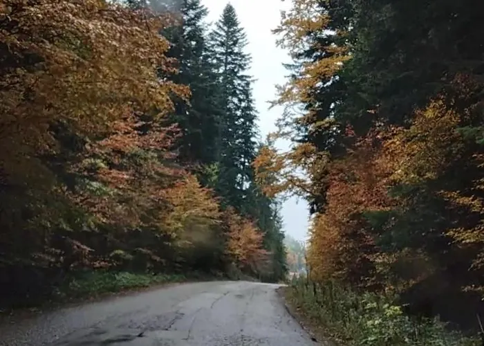 Sara بيت للعطل *