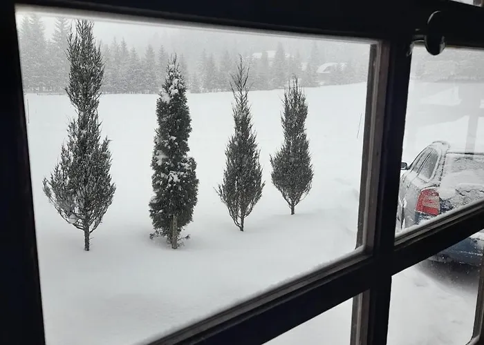 بيت للعطل Sara *